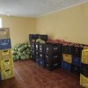 Castilho incentiva Agricultura Familiar e garante alimentos nutritivos para a população