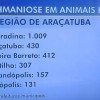 Andradina lidera ranking de cidade com maior número de leishmaniose da região de Araçatuba