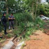 Polícia Civil investiga mulher é encontrada morta na divisa entre Castilho e Três Lagoas