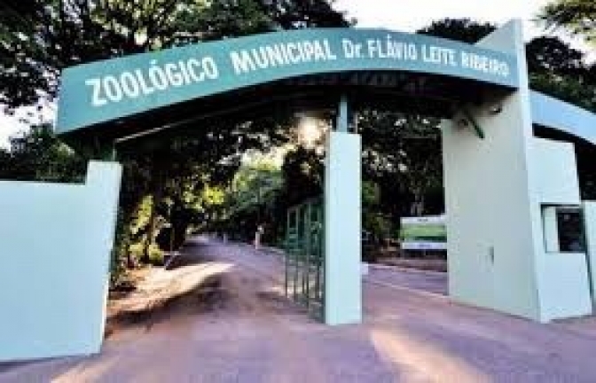 Polícia Civil vai investigar morte de Ema encontrada sem a cabeça no zoológico de Araçatuba