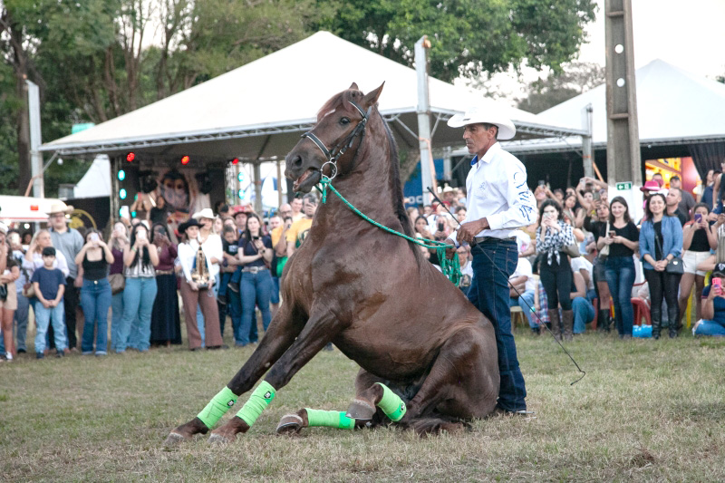 ExpoAgro reúne mais de 30 mil pessoas  em Andradina 