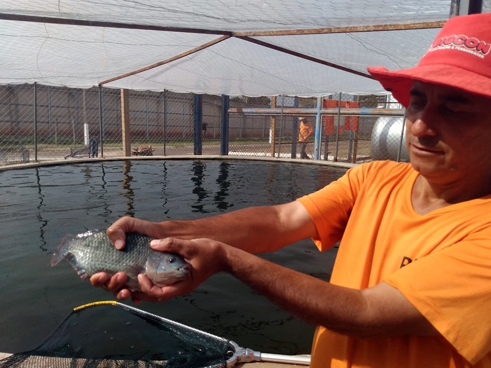 Programa de sustentabilidade consorciado em presídio de Três Lagoas garante indicação ao Prêmio Innovare