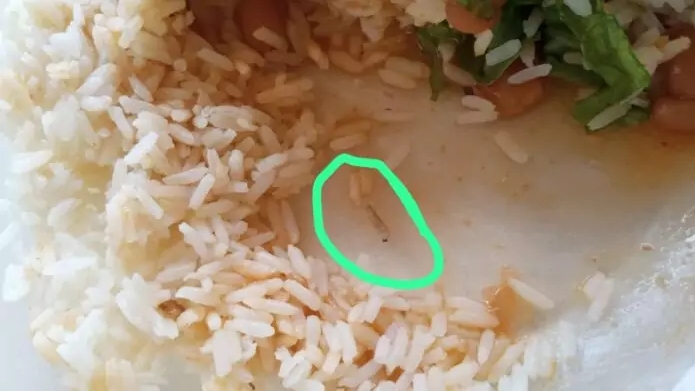 PAIS DENUNCIAM PROBLEMAS DE HIGIENE EM MERENDA E BEBEDOURO DE ESCOLA EM TRÊS LAGOAS