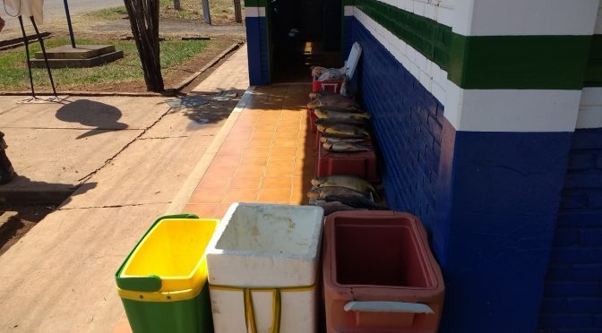 Em diligência em bairros da capital GARRAS prende dois autores com mandado de prisão