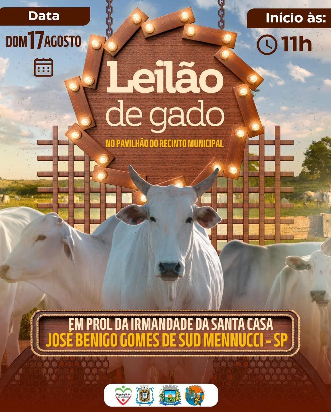 SANTA CASA DE SUD MENNUCCI REALIZA LEILÃO DE GADO NO DIA 17 DE AGOSTO