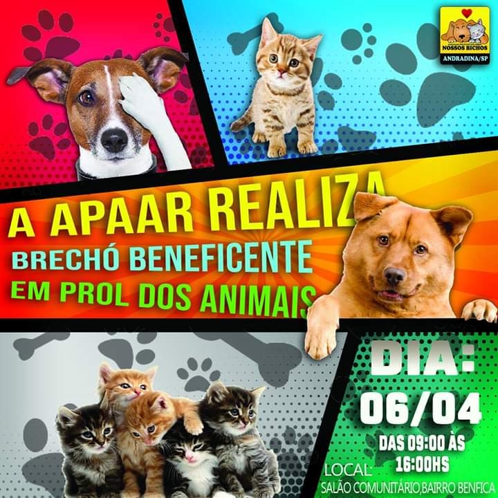 Prefeito de Selvíria sanciona reajuste salarial para servidores de 8% aprovado pela Câmara Municipal