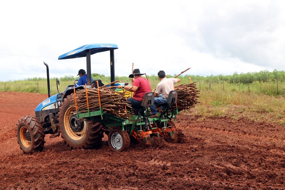 Em Três Lagoas no Distrito Arapua auxiliando o pequeno produtor, Agronegócio estreia plantadeira de rama de mandioca na região da Piaba