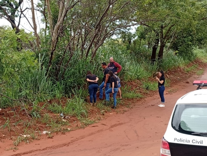 Corpo de cão morto é desenterrado e encaminhado para necropsia em Andradina
