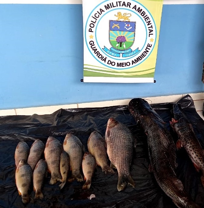 Polícia Militar Ambiental de Três Lagoas autua comerciante em R$ 5,4 mil por pescar durante a piracema no rio Verde