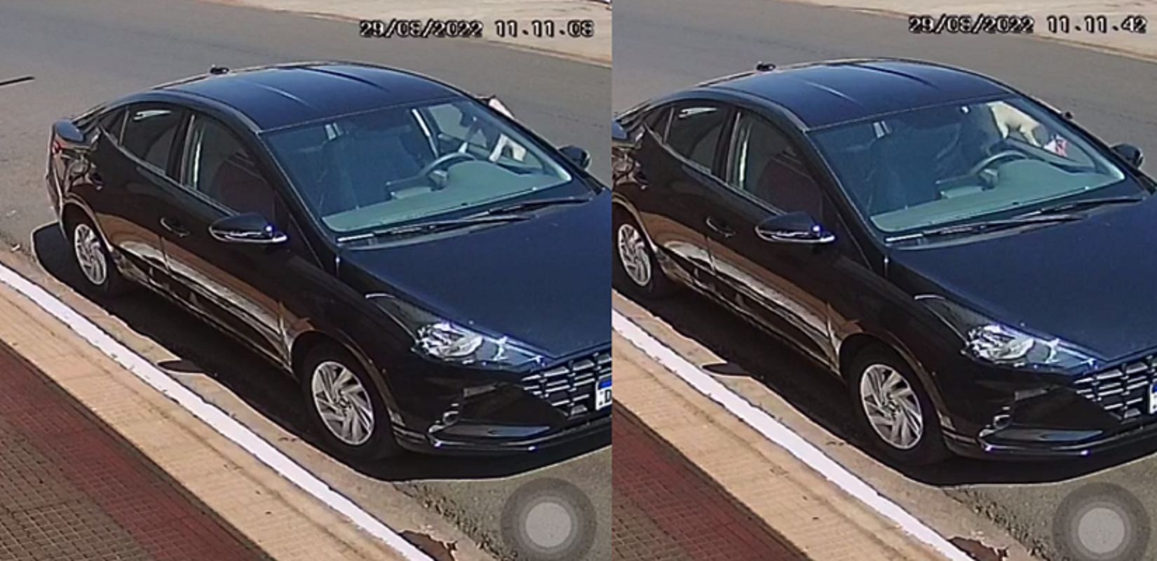Um idoso tem sua marmita furtada por um "meliante" inusitado em Pereira Barreto