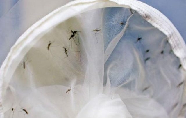 Três Lagoas confirma primeiro caso de Zika Vírus