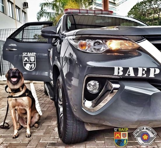 Baep de Araçatuba prende procurado da justiça, alvo de combate ao crime Jardim Umuarama