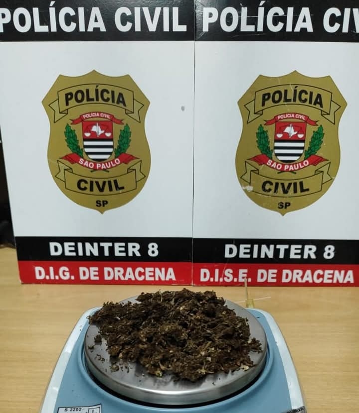 POLÍCIA CIVIL APREENDE PORÇÃO DE MACONHA APÓS INVESTIGAÇÃO DE DENÚNCIA ANÔNIMA EM DRACENA