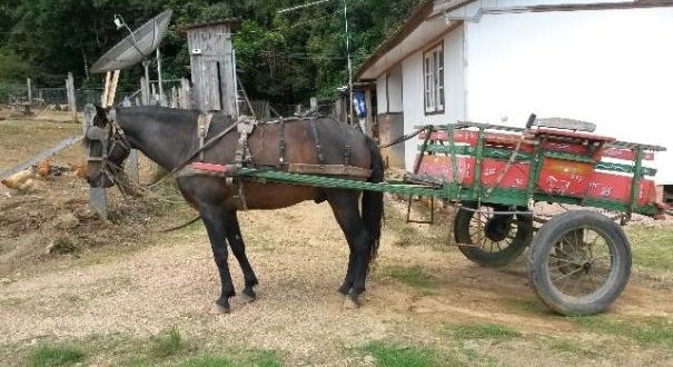 Secretaria de Segurança Pública de Birigui recebe dez motocicletas seminovas doadas pelo Detran-SP