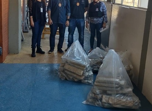 Polícia Civil incinera mais de 150 quilos de drogas apreendidas em Guararapes e Rubiácea