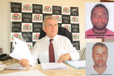Colheita do abacaxi deve atingir 30 mil toneladas em Guaraçaí, Lavínia, Murutinga e Mirandópolis