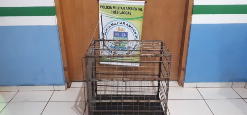 Polícia Militar Ambiental de Três Lagoas apreende armadilha de caça no Parque Natural das Capivaras