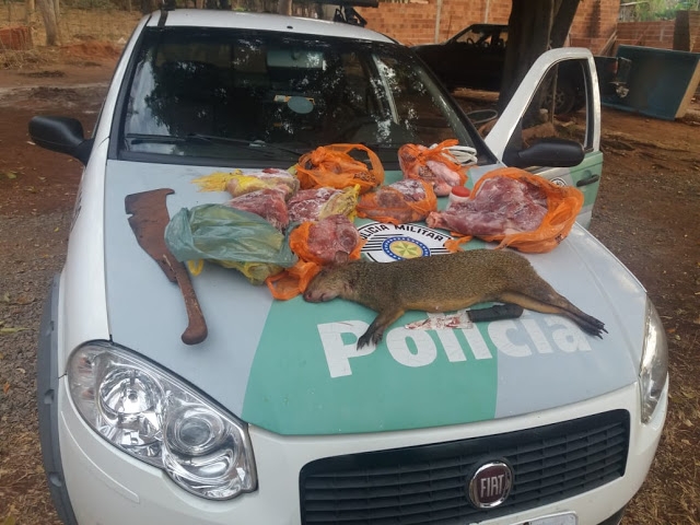 Passaredo remaneja linha e deixa de operar em Três Lagoas