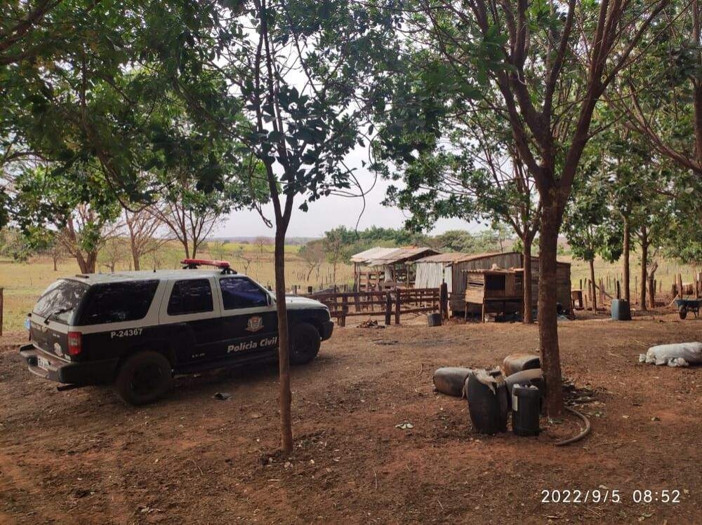 Polícia Civil de Aracanguá recupera bezerros furtados