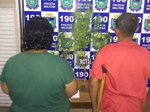 Garoto de 6 anos que iria para a escola, morreu atropelado por caminhão em Água Clara