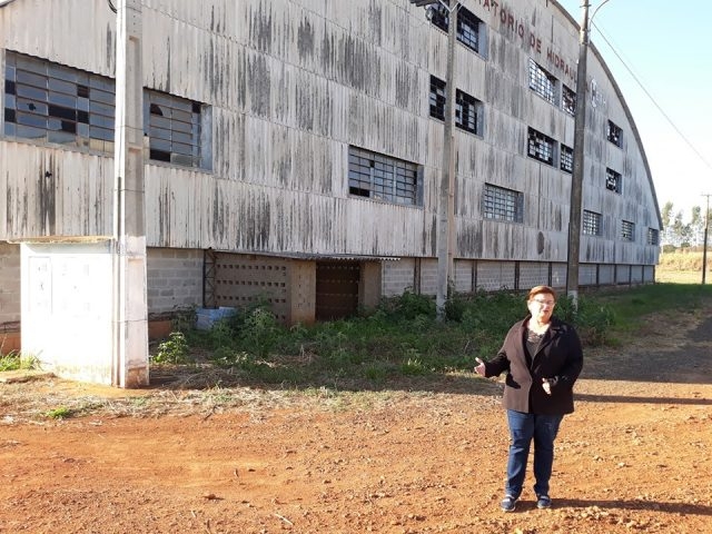 Governo de Andradina coleta pequenos animais mortos