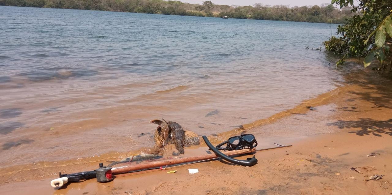 Polícia Militar Ambiental de Três Lagoas prende e autua pescador em R$ 2,5 mil por pescar com arpão, capturar pescado fora da medida e acima da cota permitida