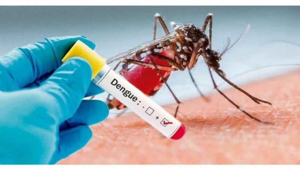 Andradina, Castilho e Mirandópolis enfrentam epidemia de dengue