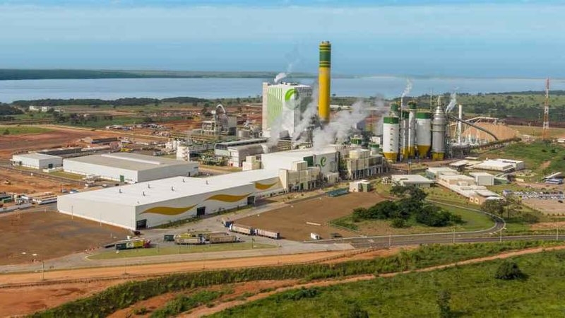 Empresário andradinense Mário Celso Lopes perde briga por fatia da Eldorado Brasil de Três Lagoas