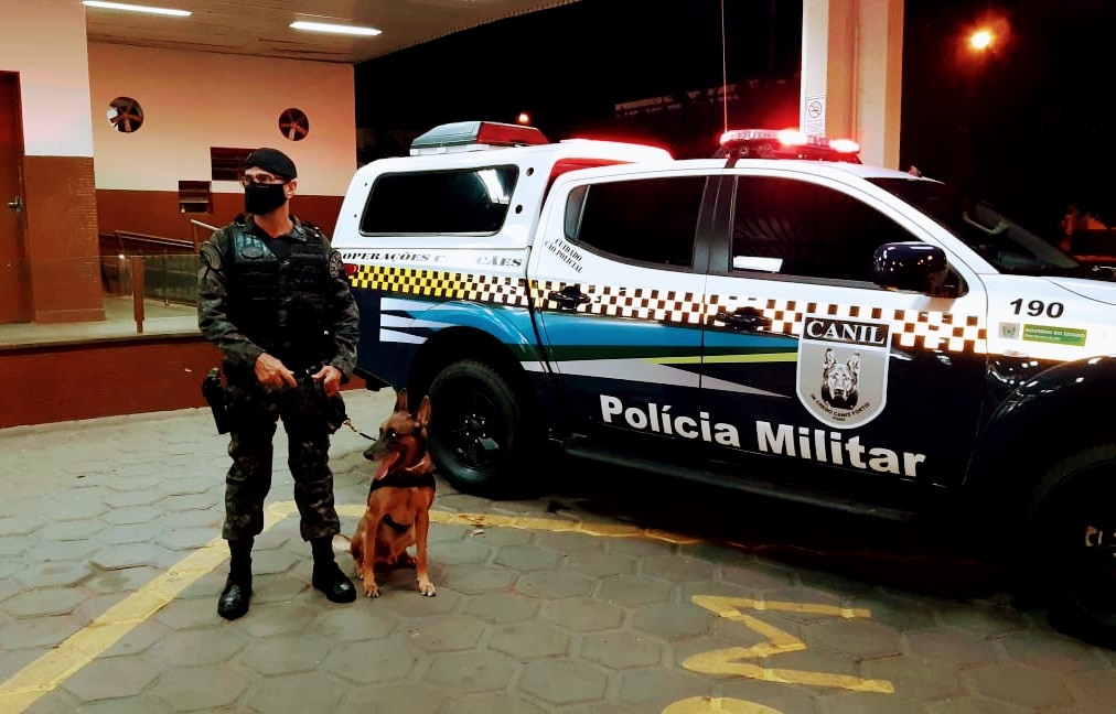 Polícia Militar atua com cães farejadores no policiamento preventivo alusivo a Operações Boas Festas em Três Lagoas