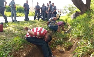 Polícia Militar Ambiental surpreende 52 indivíduos praticando a briga de galo em assentamento de Araçatuba