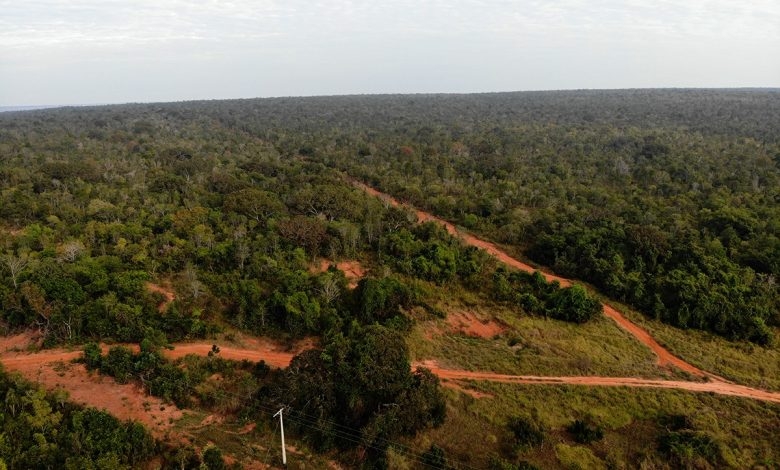 Estrada de acesso ao Parque do Pombo passa por manutenção em Três Lagoas