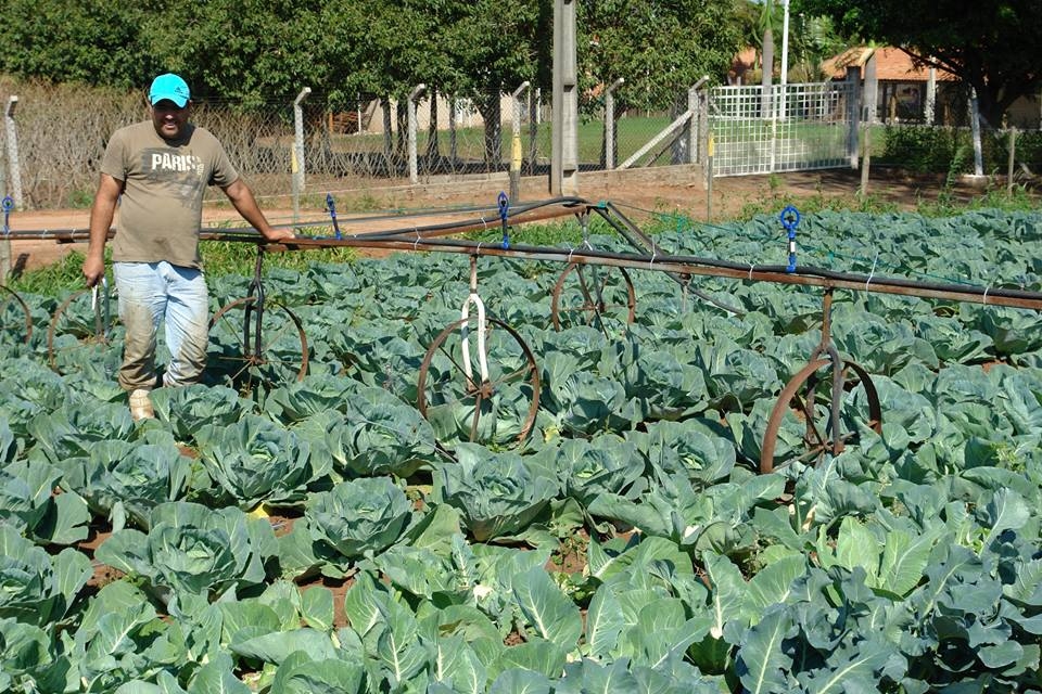 Polícia Civil de Brasilândia fecha boca de fumo e apreende entorpecentes comercializados
