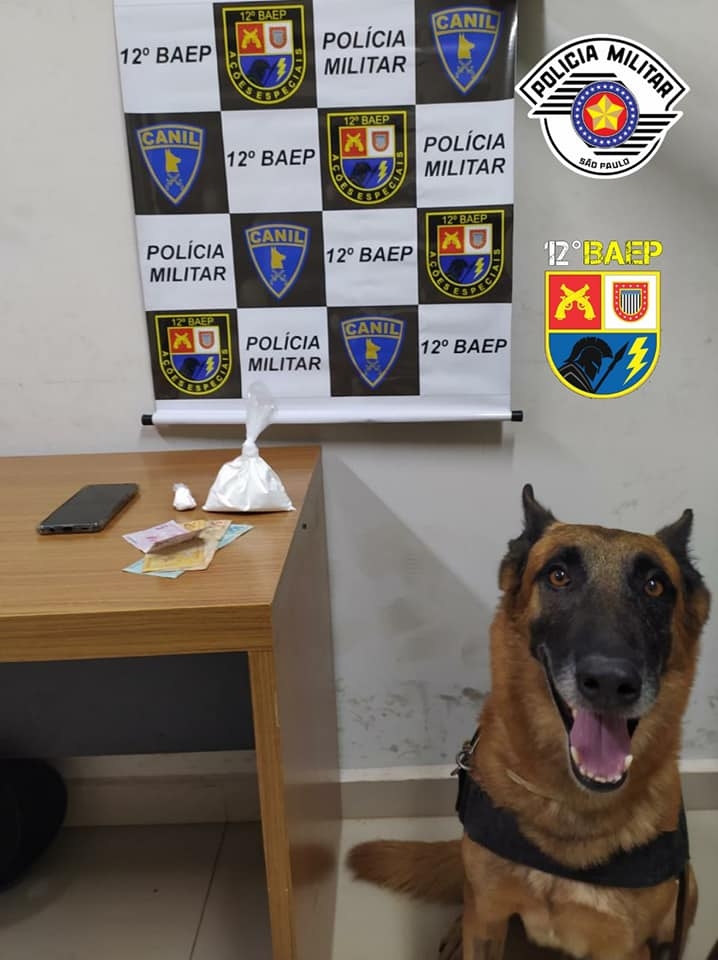 Canil do BAEP de Araçatuba prende motorista de Birigui com cocaína pura e apreende veículo, alvo de combate ao crime rodovia SP 300