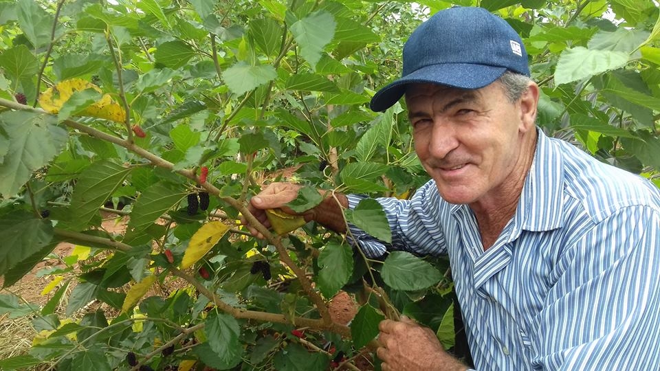 Empregos formais subiram em 1,5% até setembro em Andradina