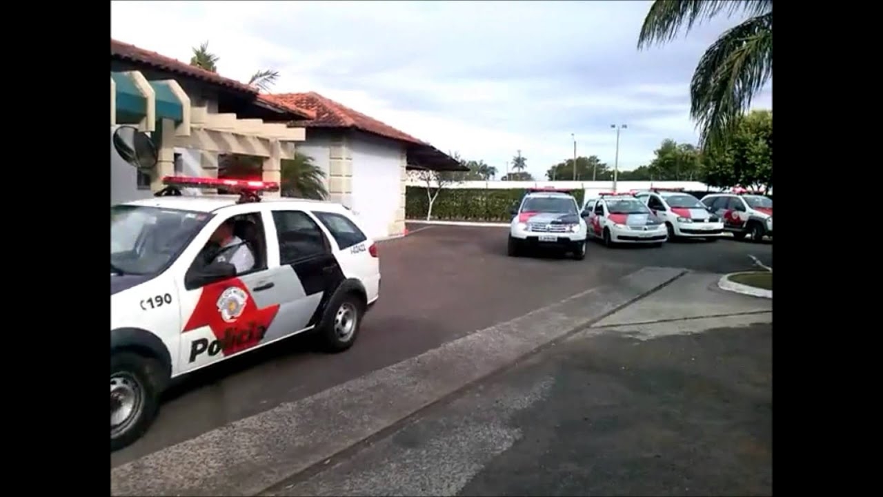 Polícia Militar descobre plantação de maconha em quintal de residência em Birigui