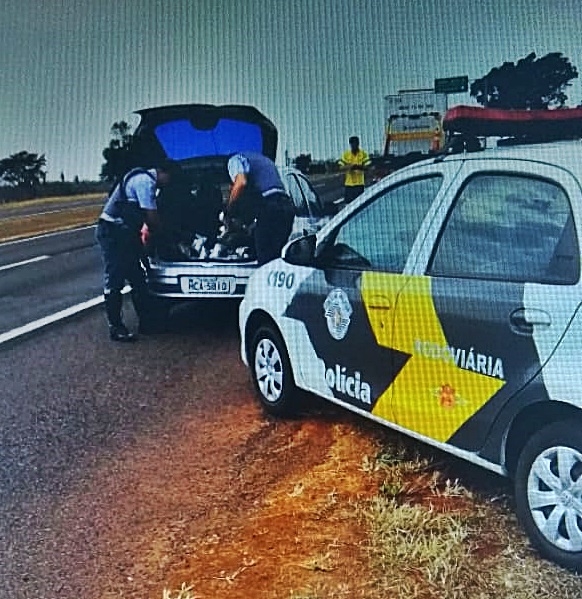 Prefeitura de Ilha Solteira passará veneno em bueiros para combater escorpiões; Aplicação começará pelo Jardim Aeroporto