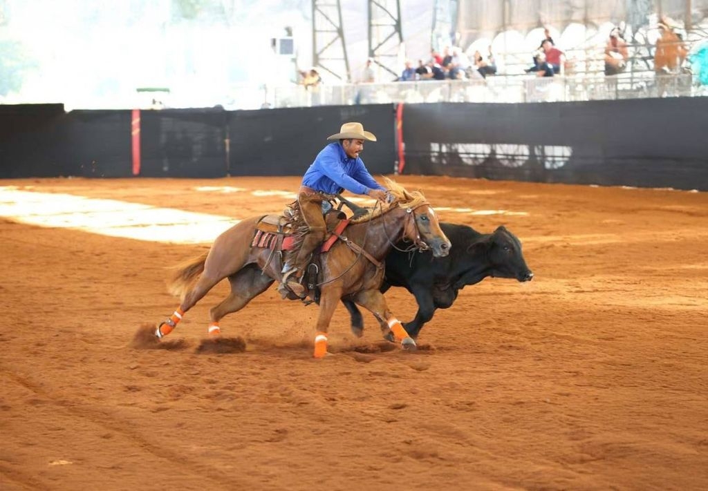 Eventos da ABQM movimentam R$ 55 milhões e lotam hotéis em Araçatuba