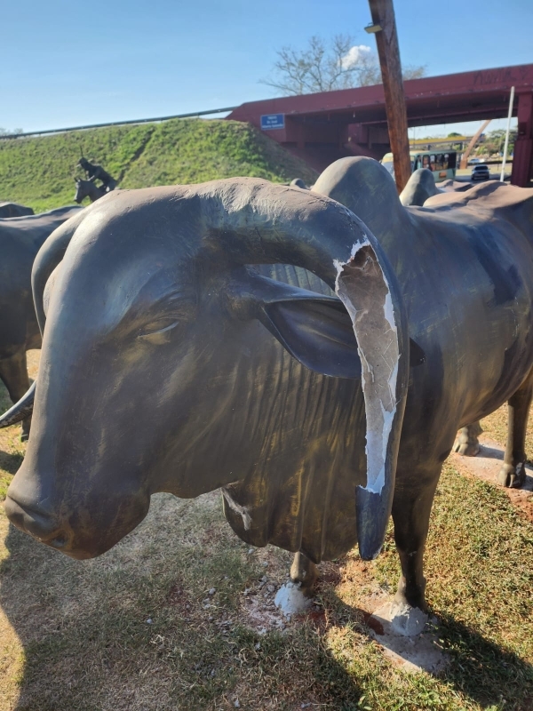 Monumento ao “Rei do Gado” é depredado por criminosos em Andradina
