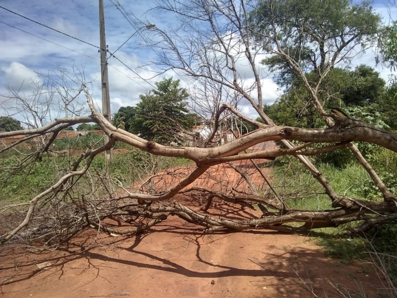 Domingo foi de limpeza por conta de forte chuva em Andradina
