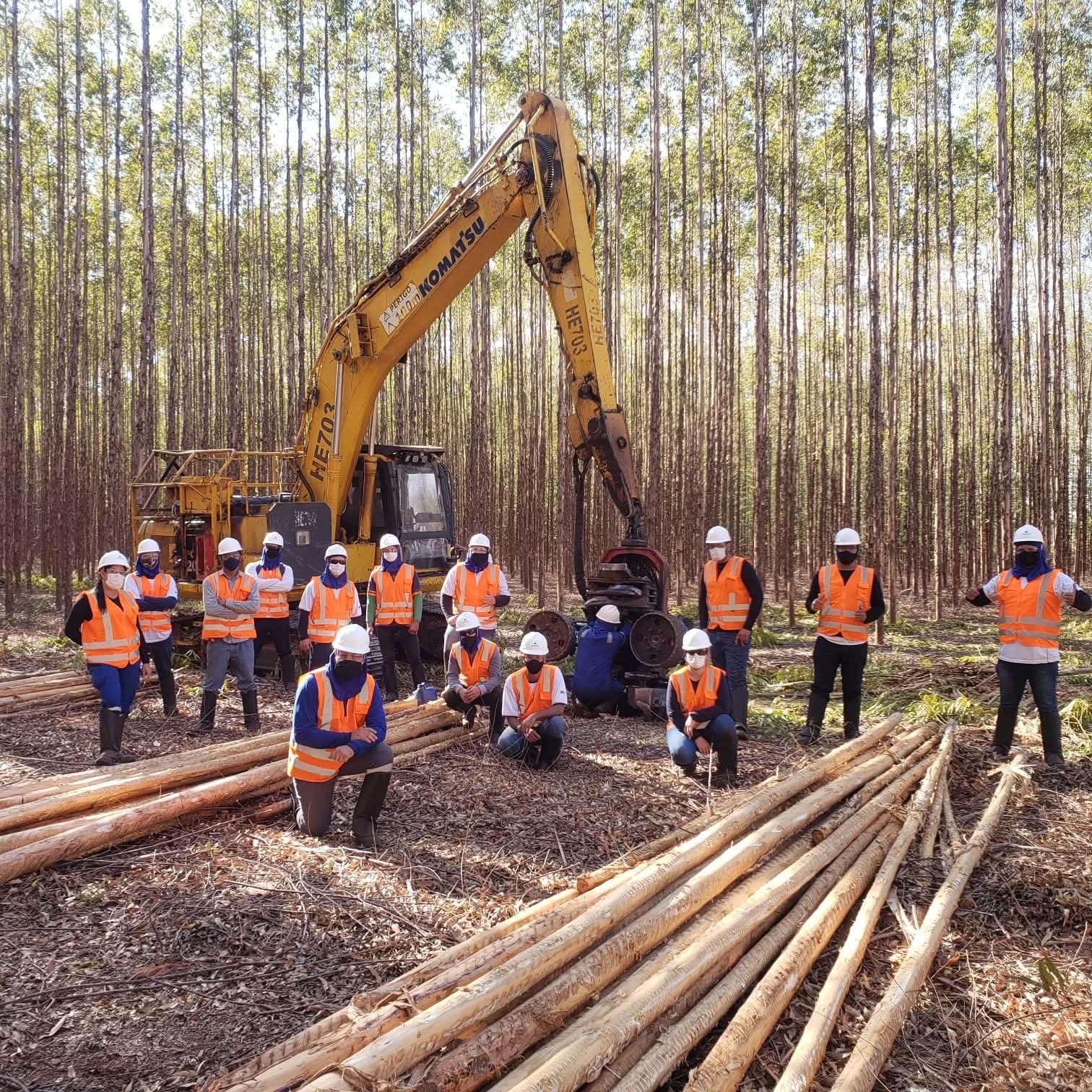 Em Três Lagoas tem oportunidade de qualificação e emprego na Suzano Celulose
