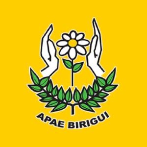 Ministério Público quer que Prefeitura de Birigui remunere Apae por atendimentos de Saúde
