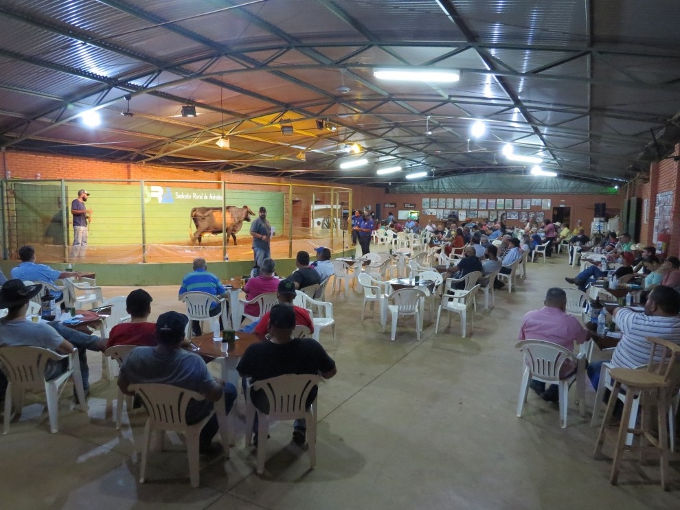 Tradicional leilão de gado em prol do Asilo São Vicente de Paula será no dia 24 de junho em Andradina