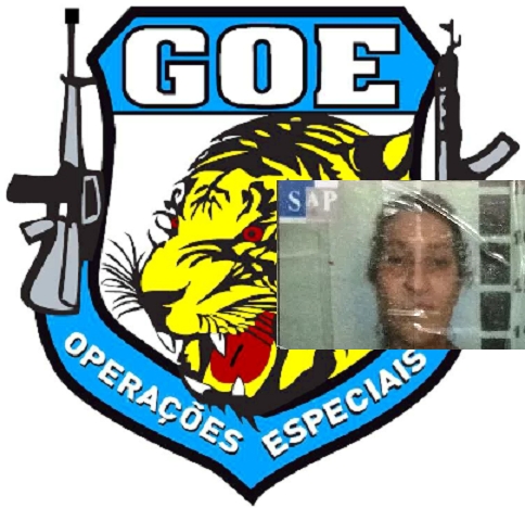 Chegada do Papai Noel da Prefeitura de Andradina encanta centenas de crianças