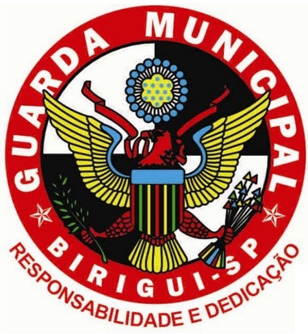 Polícia Municipal de Birigui atualizou seu mapa estatístico mensal