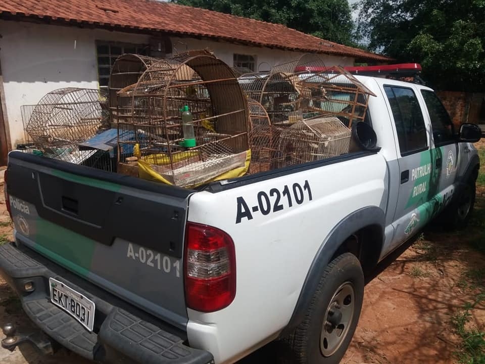 EM VALPARAÍSO POLÍCIA AMBIENTAL LAVRA R$ 25 MIL DE MULTA POR  AVES PRESAS EM GAIOLAS