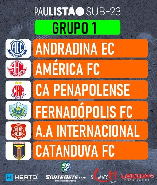 Andradina Esporte Clube vai jogar no grupo 1 da segunda divisão