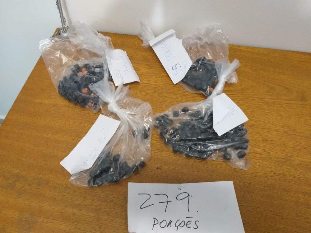 Agentes do Centro de Ressocialização de Birigui apreendem 279 porções de maconha no banheiro da cozinha