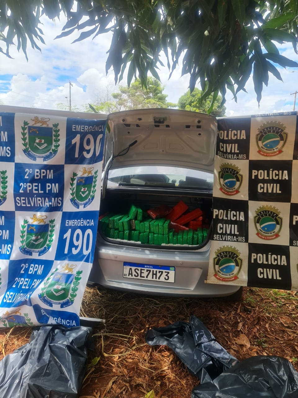 PM e PC de Selviria prenderam 04 indivíduos por tráfico de drogas com aproximadamente 300 kg de maconha