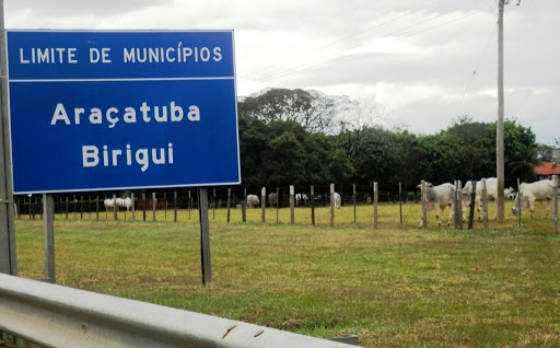 DOENÇA IMPIEDOSA BIRIGUI E ARAÇATUBA SOMAM JUNTAS 118 MORTOS PELA COVID-19