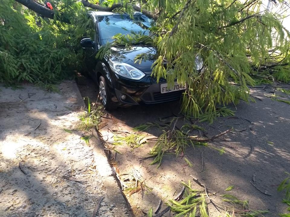 EM CASTILHO, PMR PRENDE MULHER COM COCAÍNA E MACONHA